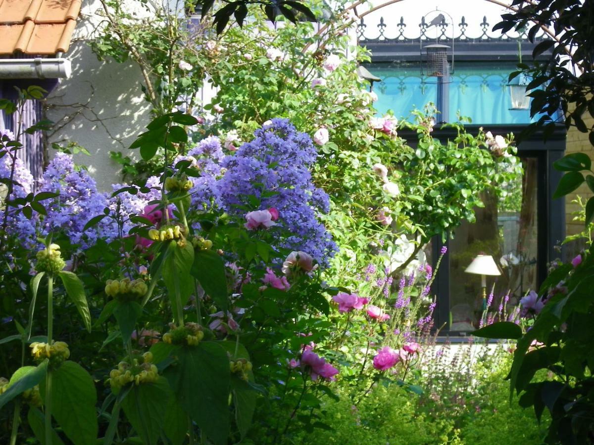 La Colline Des Roses Bed and Breakfast Conchil-le-Temple Eksteriør billede
